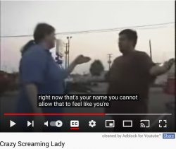 crazy screaming lady youtube Meme Template