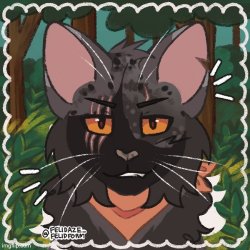 Bronzepelt Warrior Cats OC Picrew Meme Template