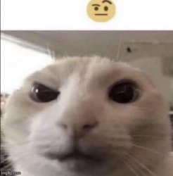 sus Meme Template