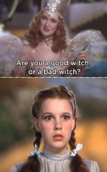 Good Witch Meme Template