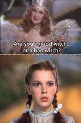 Bad Witch Meme Template