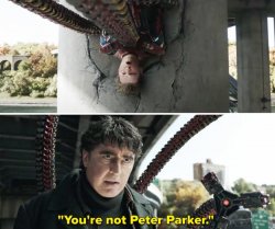 You're not Peter Parker Meme Template