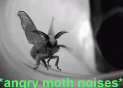 Angry Moth Noises Meme Template