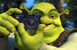 Shrek taking a picture Meme Template