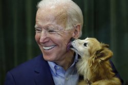 Dog licking Biden Meme Template