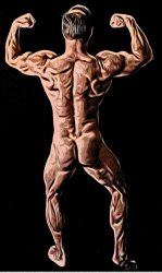 Bodybuilding Meme Template