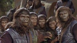 Planet of the apes Meme Template