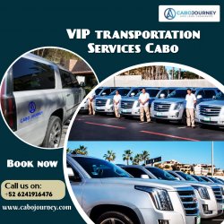 VIP Transportation Services Cabo Meme Template