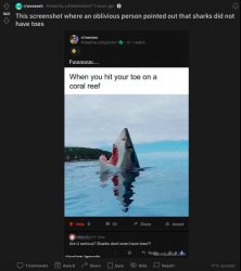 r/whoooosh Meme Template