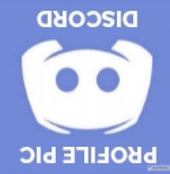 Upside Down Discord Meme Template