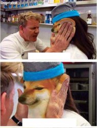 Ramsey Idiot Sandwich Dogecoin Meme Template