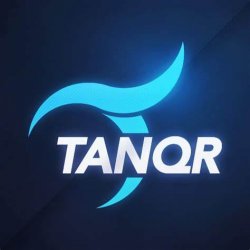 You got tanqr'd Meme Template