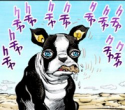 i g g y Meme Template