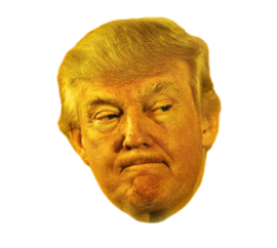 Orange Trump head Meme Template