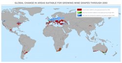 Climate change wine Meme Template