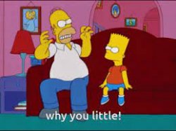 The Simpsons why you little Meme Template
