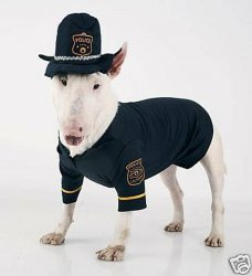dog in cop uniform Meme Template