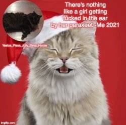 Christmas Template Meme Template