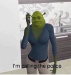Girl Shrek "I'm calling the police" Meme Template