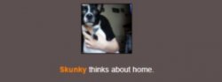 Skunky thinks about home Meme Template