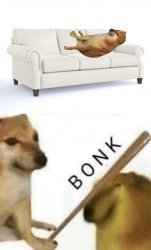 i sleep real shit bonk Meme Template