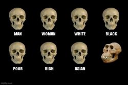 Xray Skulls Meme Meme Template