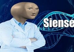 S I E N S E Meme Template