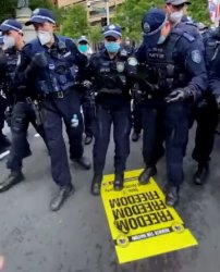 AUTHORITARIAN HOKEY-POKEY Meme Template