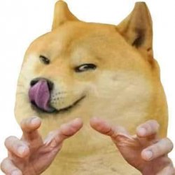 Doge Hands Meme Template