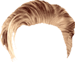 Meme: Cabelo loiro Juliagabriellafa - All Templates - Meme