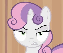 Glared Sweetie Belle (MLP) Meme Template