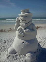 Florida Snowman Meme Template