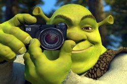 Shrek Caught in 4K Meme Template