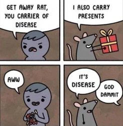Get Away Rat You Carrier of Disease Meme Template