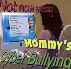 Not now sweaty mommy's cyberbullying Meme Template