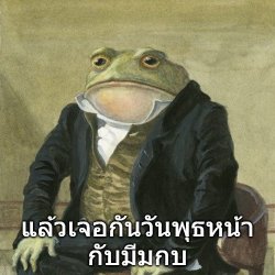 thai frog Meme Template