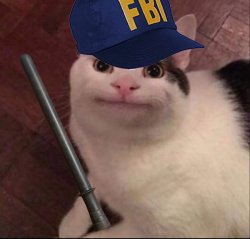 FBI beluga Meme Template