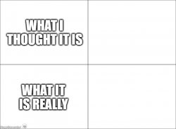 WHAT I THOUGHT VS WHAT IT IS REALLY Meme Template