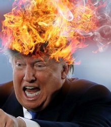 Trump hair on fire liar narcissist infantile angry Meme Template