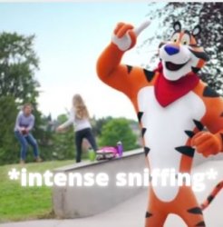 Frosted flakes Meme Template