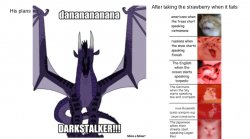 DarkStalker plan Meme Template