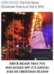 burn fox burn Meme Template