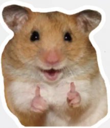 HappyHamster Meme Template