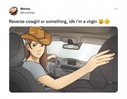 Reverse cowgirl Meme Template