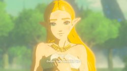 Zelda do you really remember me? Meme Template