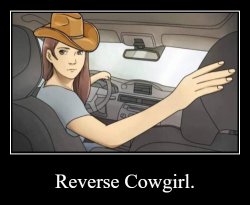 Reverse Cowgirl Meme Template