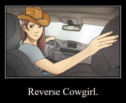 Reverse Cowgirl Meme Template