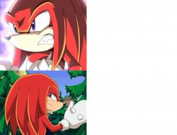 Knuckles Drake Meme Meme Template