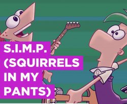 S.I.M.P (squirrels in my pants) Meme Template