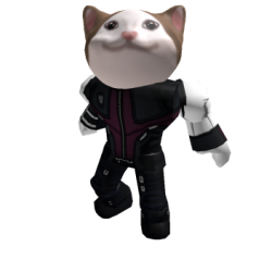 Roblox Nikitunc [Cat-Hawkeye] Meme Template